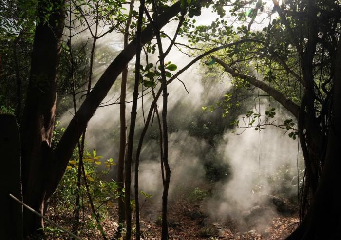 Rincon de la Vieja, an active volcano in Costa Rica, experiences elevated levels of carbon dioxide due to its volcanic activity, where CO2 naturally seeps from cracks in the volcano's foundation, creating a unique environment for studying the effects of how plants might respond to rising global CO2 levels. 